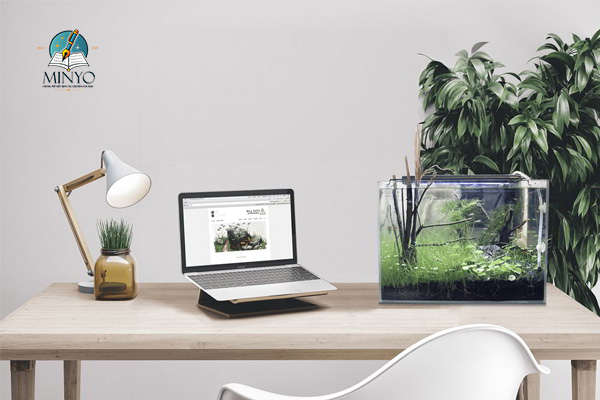 Đồ lưu niệm để bàn làm việc đáng mua
